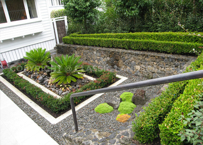 Ready lawn Auckland, New lawn design garden ideas North Shore